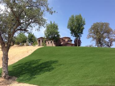 Fake Pet Grass San Antonio Heights California Landscape, Lawns artificial grass